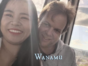 Wanamu