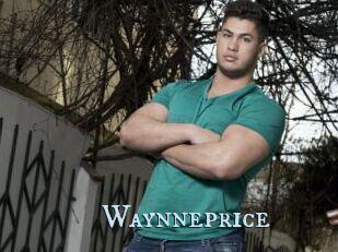 Waynneprice
