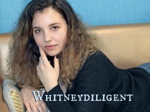 Whitneydiligent