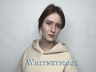 Whitneyfigge