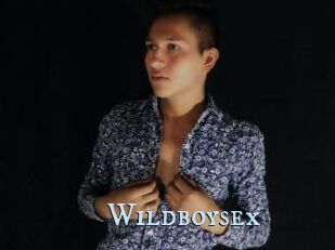 Wildboysex