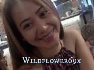 Wildflower69x