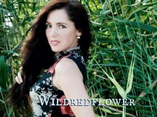 Wildredflower