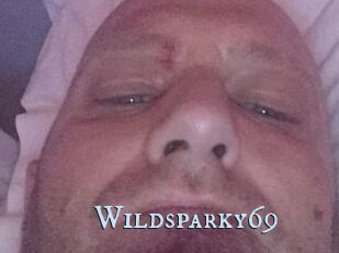Wildsparky69