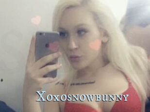 Xoxosnowbunny