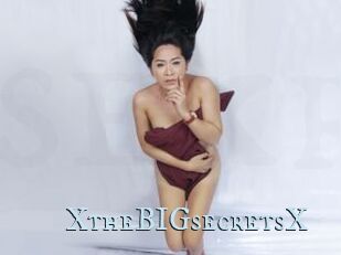 XtheBIGsecretsX