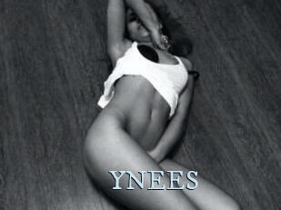 YNEES
