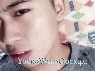 YoungWildCock4u