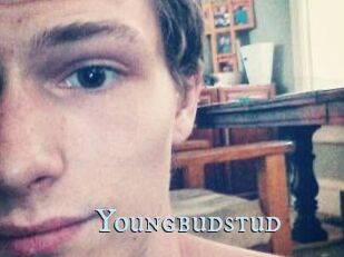 Youngbudstud