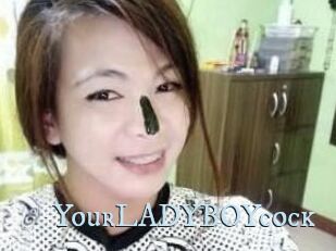 YourLADYBOYcock