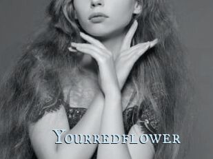 Yourredflower