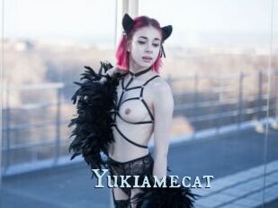 Yukiamecat