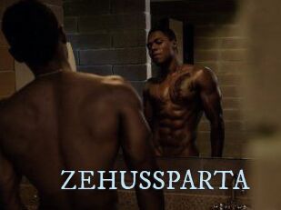 ZEHUS_SPARTA
