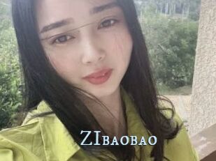ZIbaobao