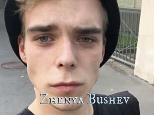 Zhenya_Bushev