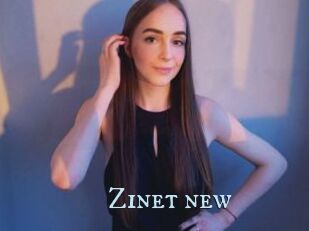 Zinet_new